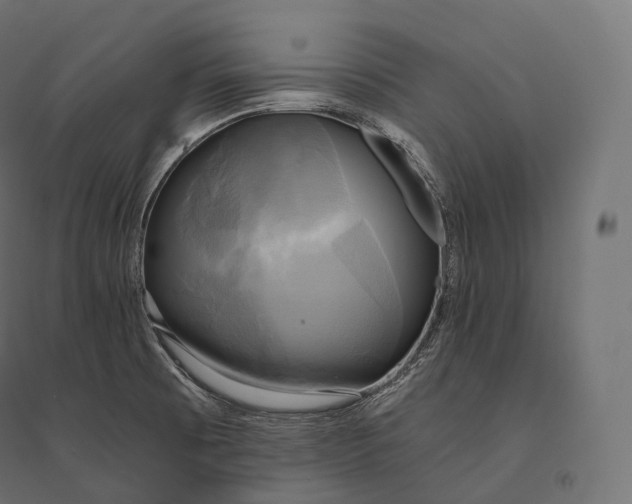 X0000094371473200711241949