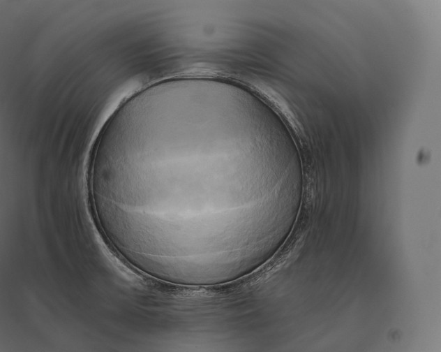 X0000094371475200711241949