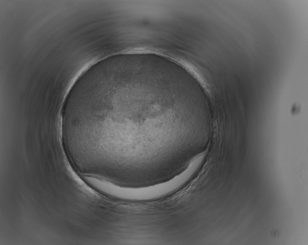 X0000094371476200711241949