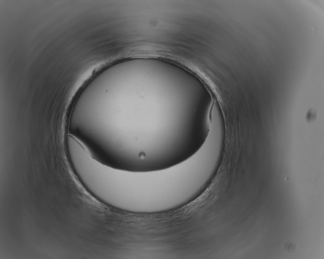 X0000094371477200711241949