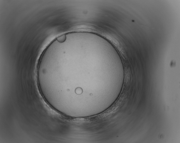 X0000094371478200711241949