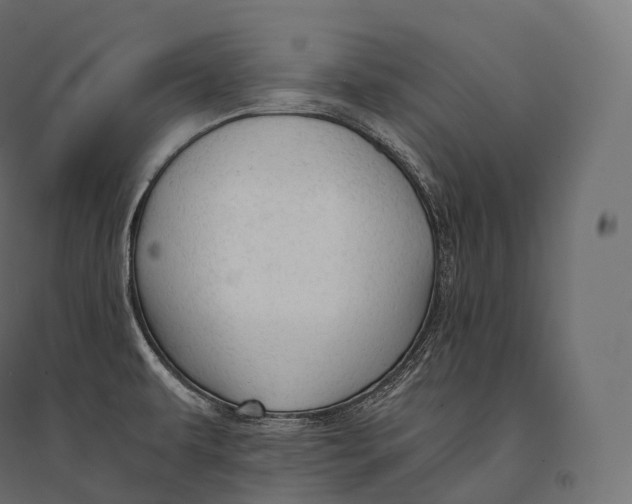 X0000094371479200711241949