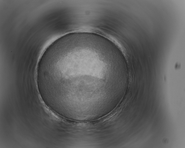 X0000094371480200711241949