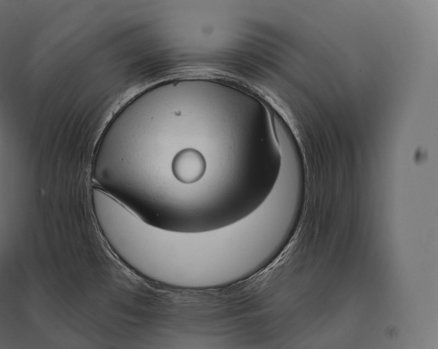 X0000094371481200711241949