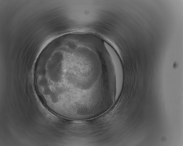 X0000094371483200711241949