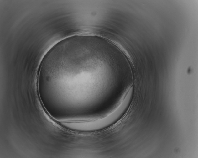 X0000094371484200711241949