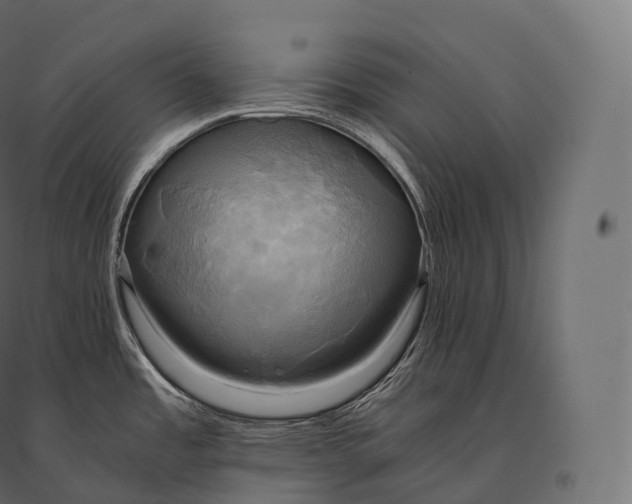 X0000094371485200711241949