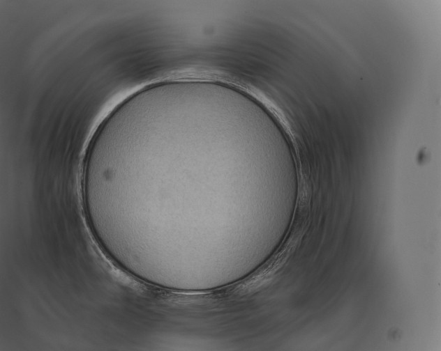 X0000094371486200711241949