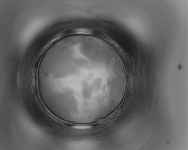 X0000094371487200711241949