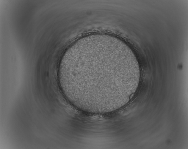 X0000094371489200711241948