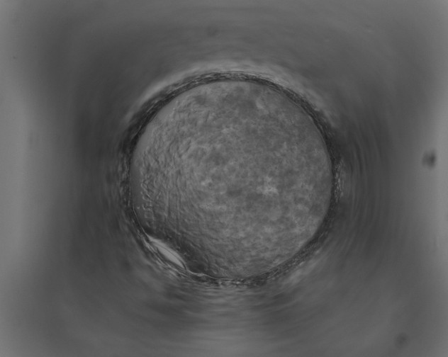 X0000094371494200711241948