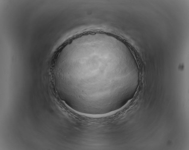 X0000094371496200711241948