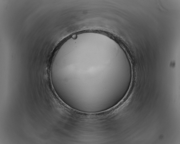 X0000094371497200711241948