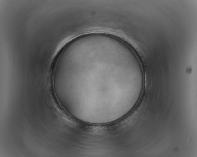 X0000094371501200711241948