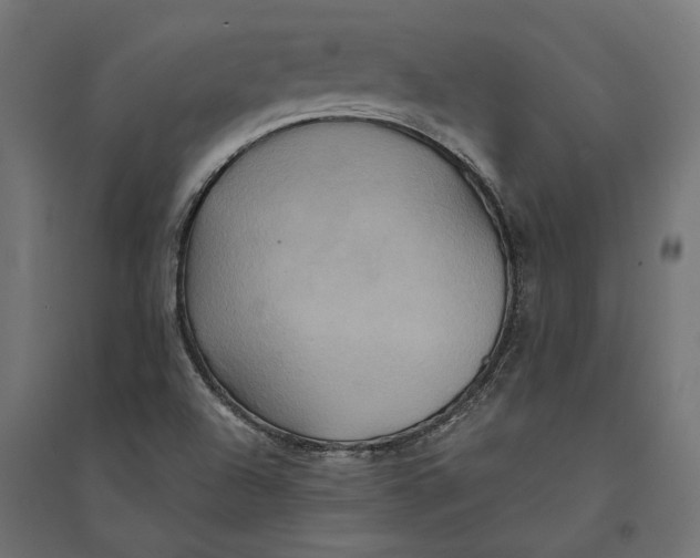 X0000094371504200711241948