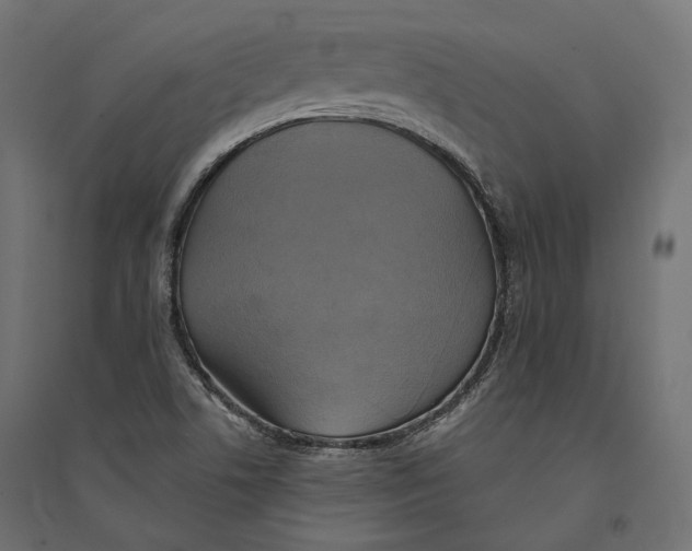 X0000094371506200711241948