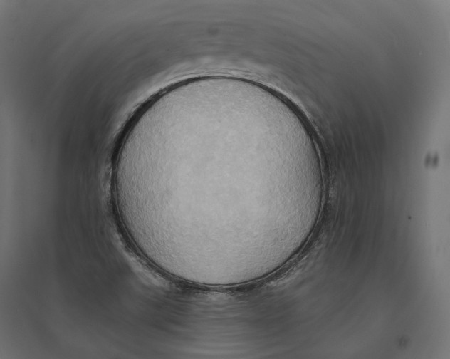 X0000094371507200711241948