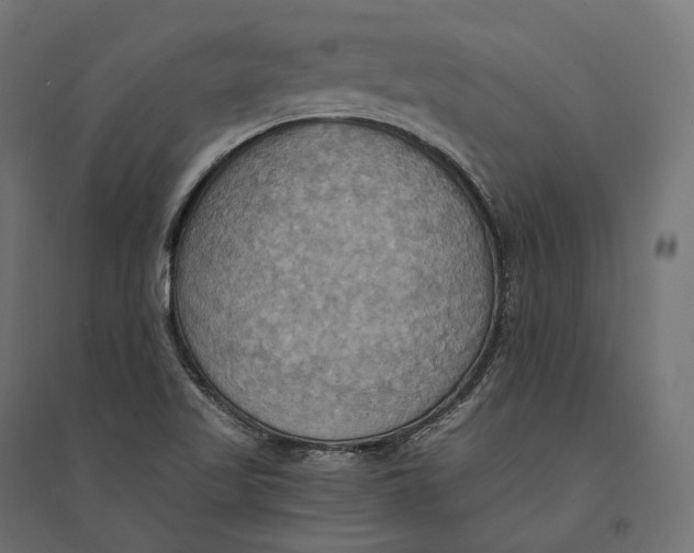 X0000094371509200711241948