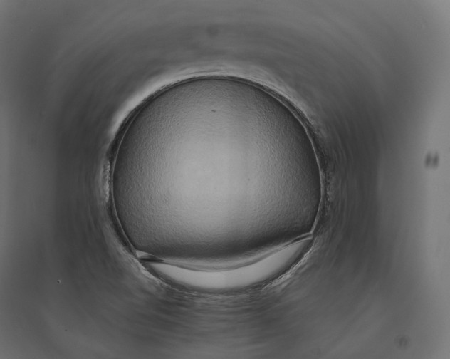 X0000094371510200711241948