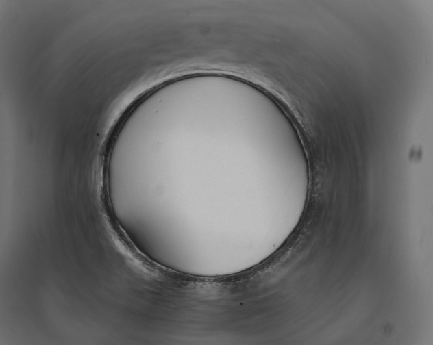 X0000094371511200711241948