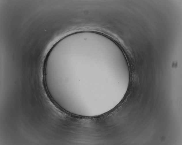 X0000094371512200711241948