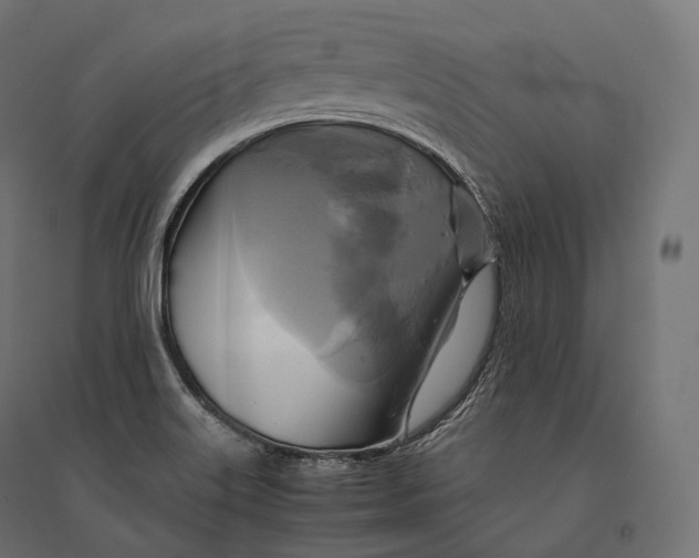 X0000094371515200711241948