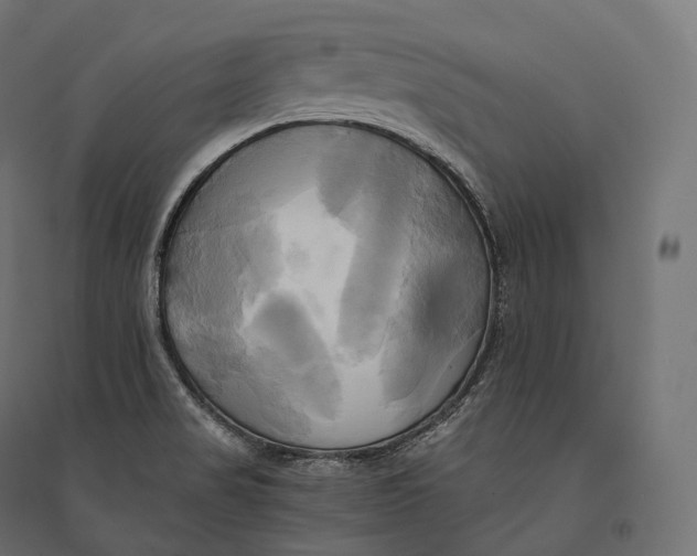 X0000094371517200711241948