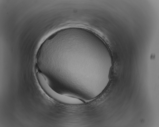 X0000094371520200711241948