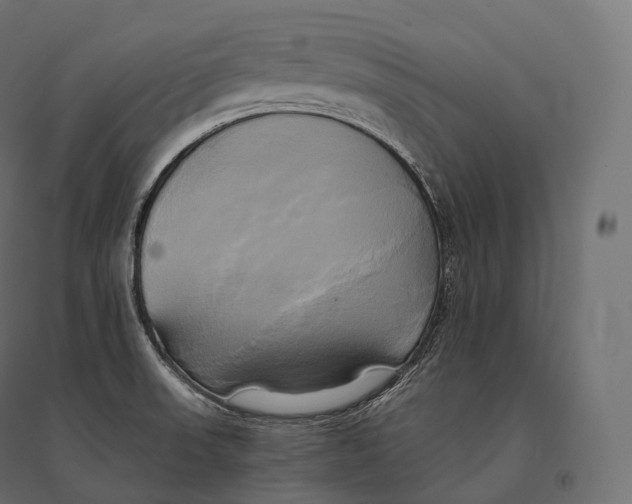 X0000094371523200711241948