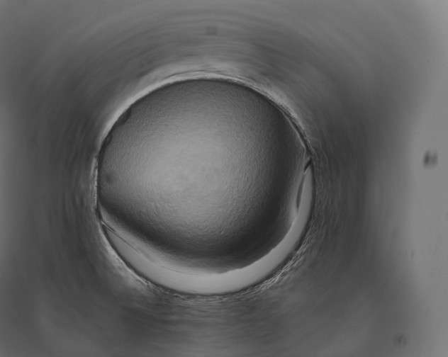 X0000094371524200711241948