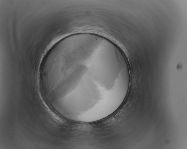 X0000094371525200711241948