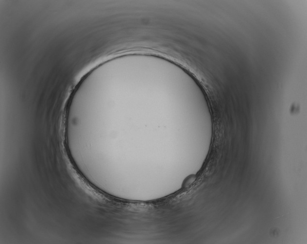 X0000094371526200711241948