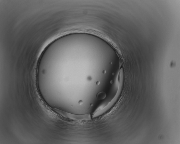 X0000094371530200711241949