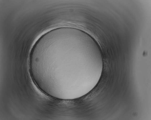 X0000094371531200711241949