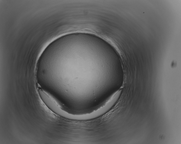 X0000094371532200711241949