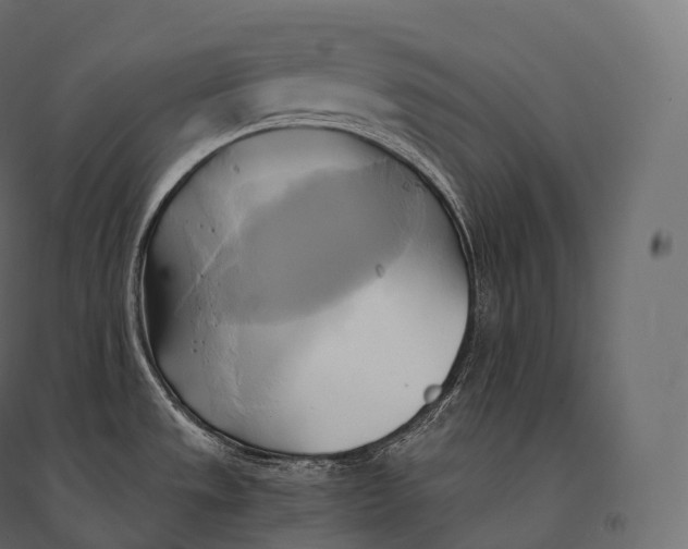 X0000094371533200711241949