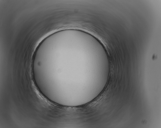 X0000094371534200711241949