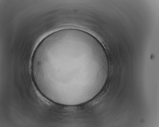 X0000094371535200711241949