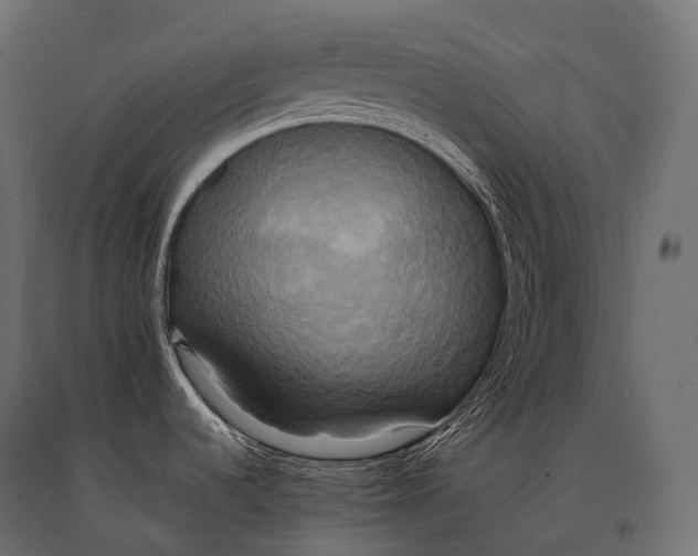 X0000094371536200711241949