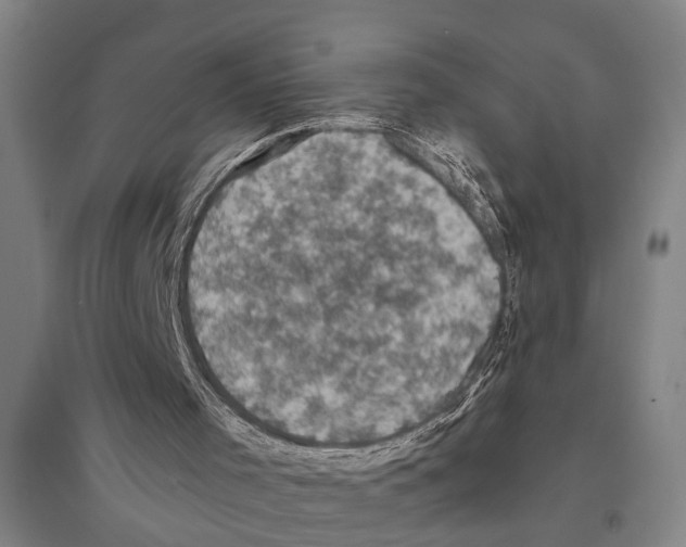 X0000094370001200711301500