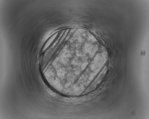 X0000094370005200711301500