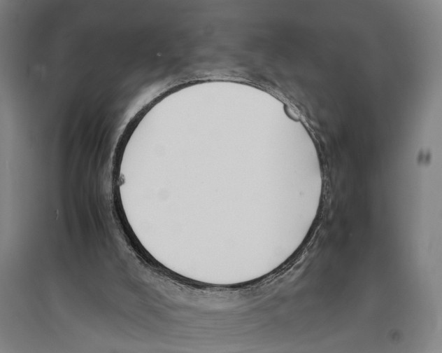 X0000094370008200711301500