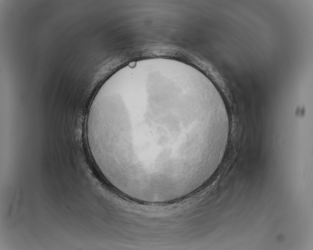 X0000094370010200711301500