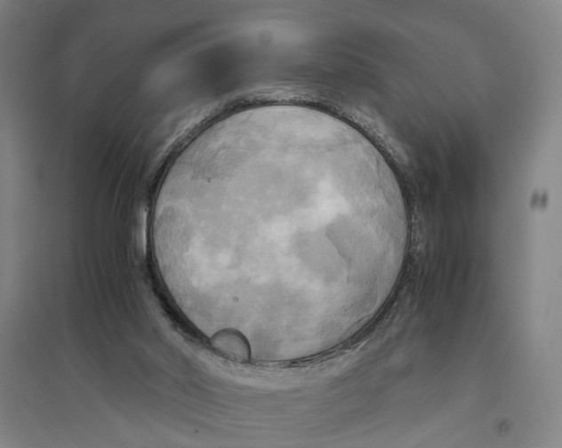 X0000094370014200711301459