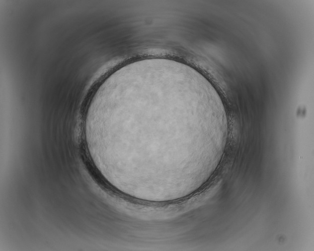 X0000094370016200711301459