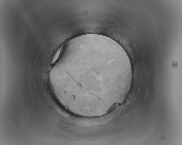 X0000094370017200711301459