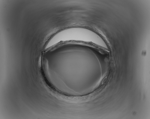 X0000094370019200711301459