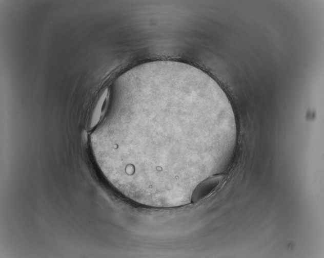 X0000094370021200711301459