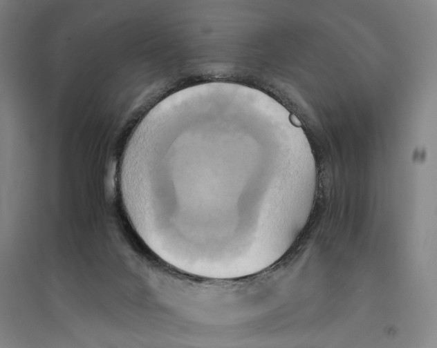 X0000094370024200711301459