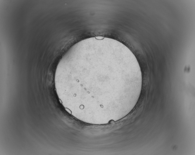 X0000094370025200711301459